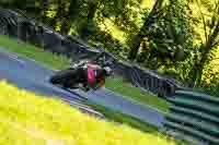 cadwell-no-limits-trackday;cadwell-park;cadwell-park-photographs;cadwell-trackday-photographs;enduro-digital-images;event-digital-images;eventdigitalimages;no-limits-trackdays;peter-wileman-photography;racing-digital-images;trackday-digital-images;trackday-photos